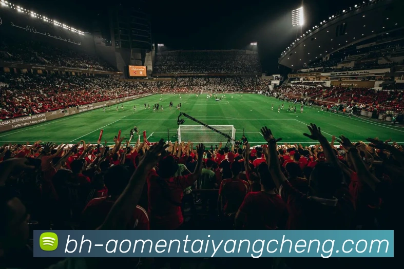 多媒体互动体验